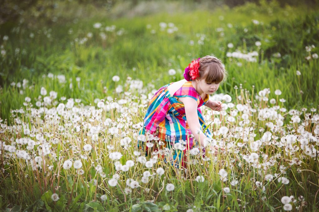 child-picking-dandelions